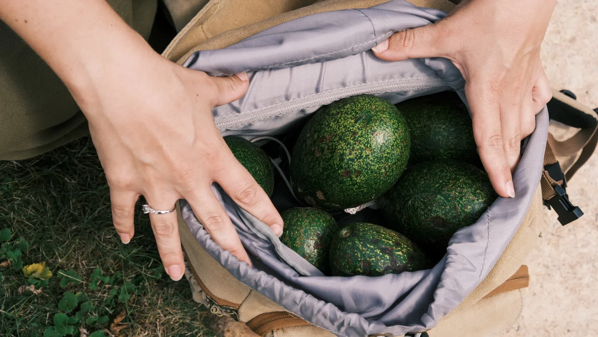 Nachhaltige Ernährung auf Reisen